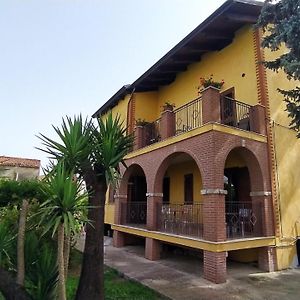 Madì Paestum B&B - Bed&Breakfast